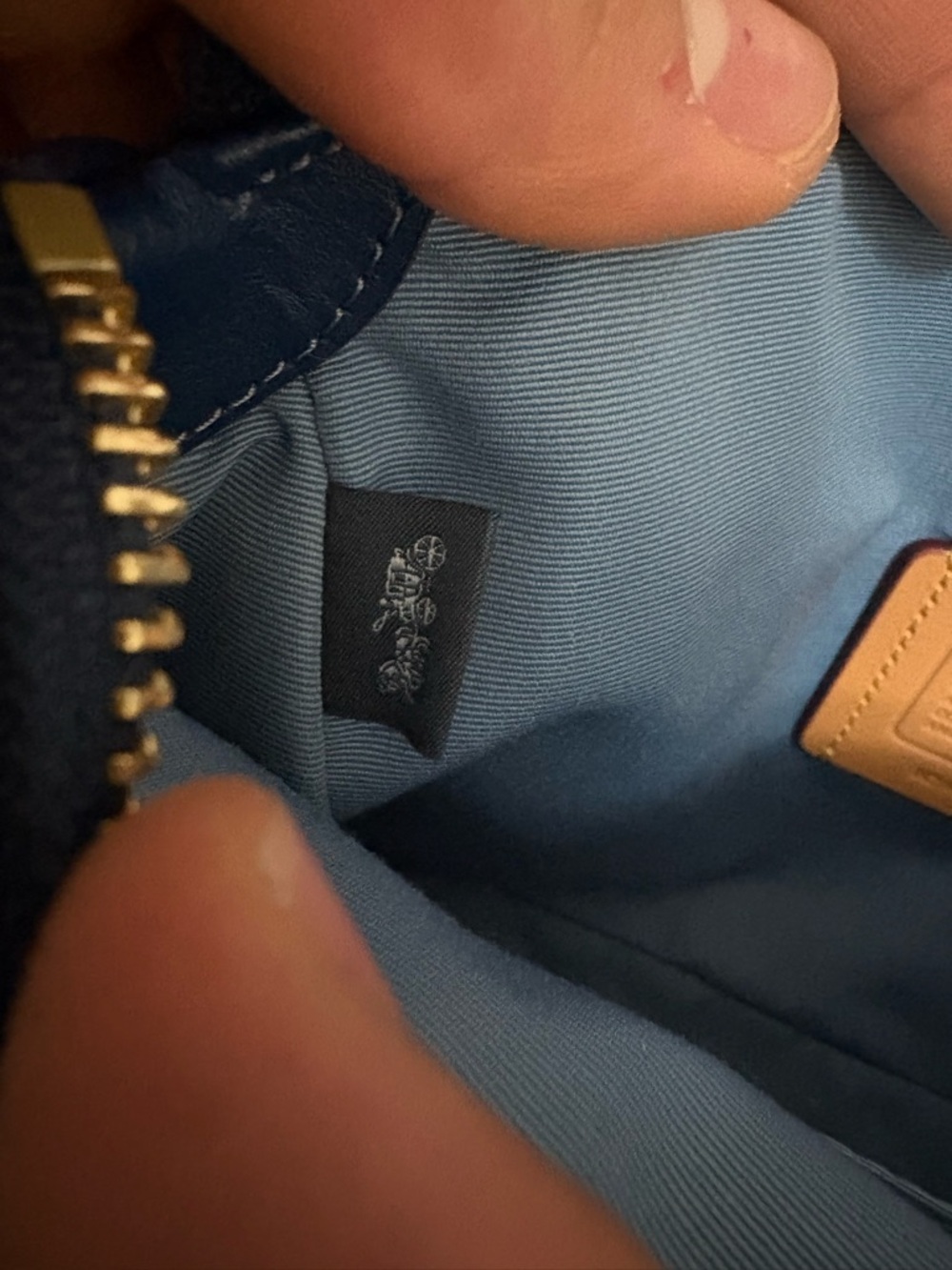 Coach - Picture 11 of 12